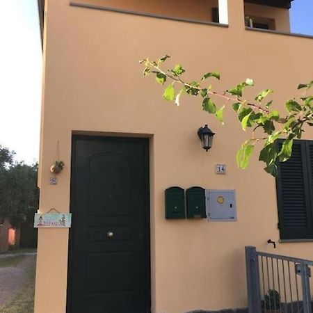 Il Mondo Magico - Immerso Nella Natura - Fauglia Exterior foto